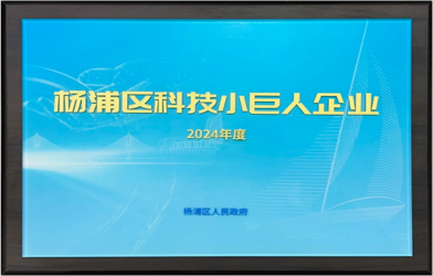 上海市杨浦区科技小巨人企业